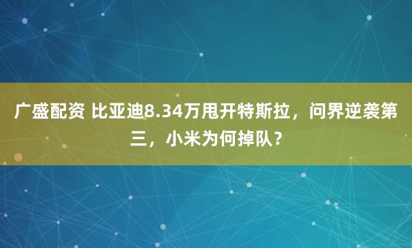 广盛配资 比亚迪8.34万甩开特斯拉，问界逆袭第三，小米为何掉队？